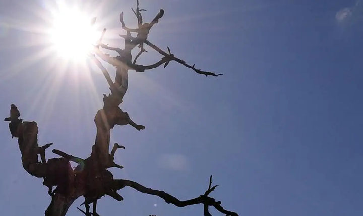 Clima seco e calor intenso predomina as regiões de Sousa e Cajazeiras nesta segunda (25)