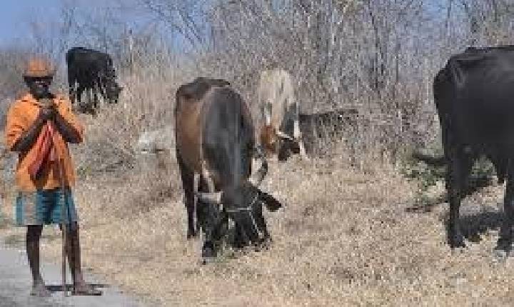 Ministério reconhece situação de emergência em municípios paraibanos
