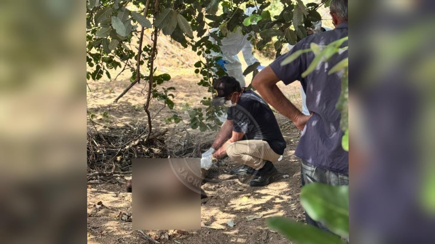 Homem que estava desaparecido é encontrado em decomposição na zona rural de São José da Lagoa Tapada; delegado fala ao Repórter Caveira