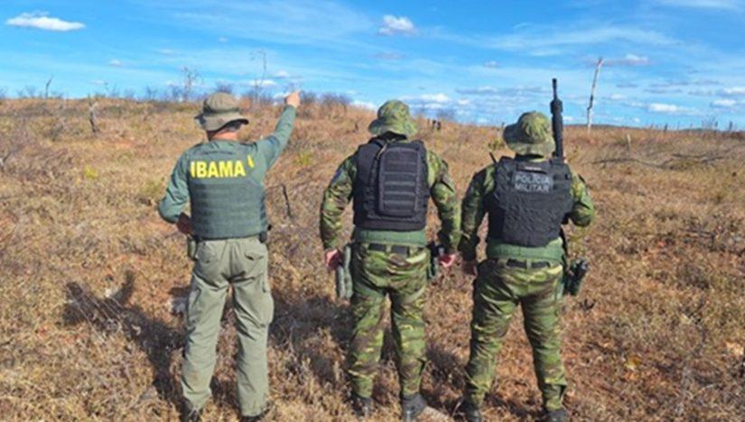 Ibama embarga quase mil hectares de áreas desmatadas na Paraíba durante Operação Mandacaru