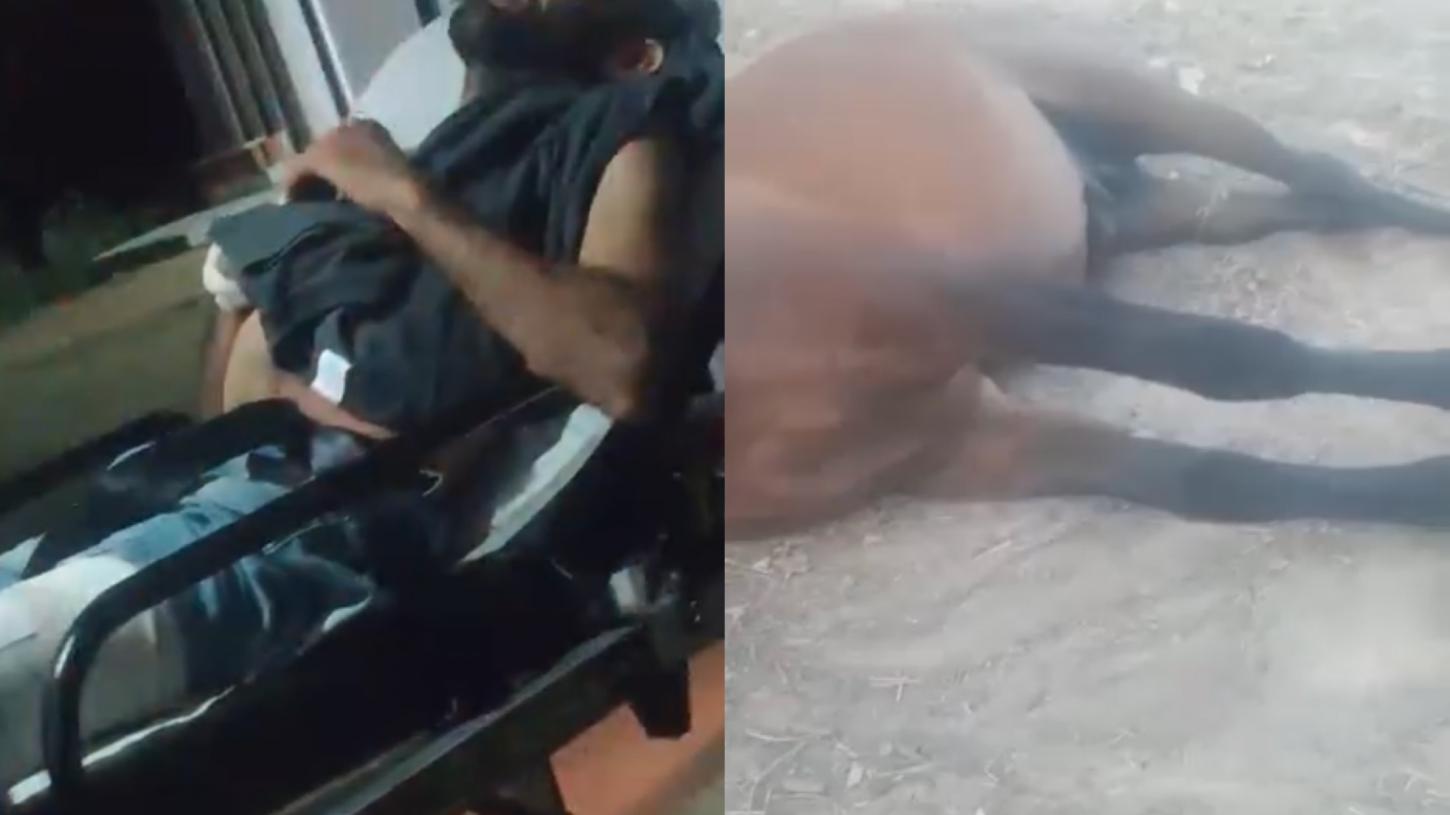 Vaqueiro fica ferido e cavalo morre após colisão com cabo de aço na Zona Rural de Santa Cruz