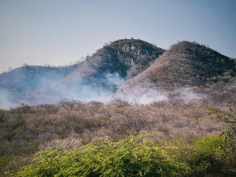 Força-tarefa com 52 bombeiros intensifica trabalho e controla incêndio em São José do Bonfim