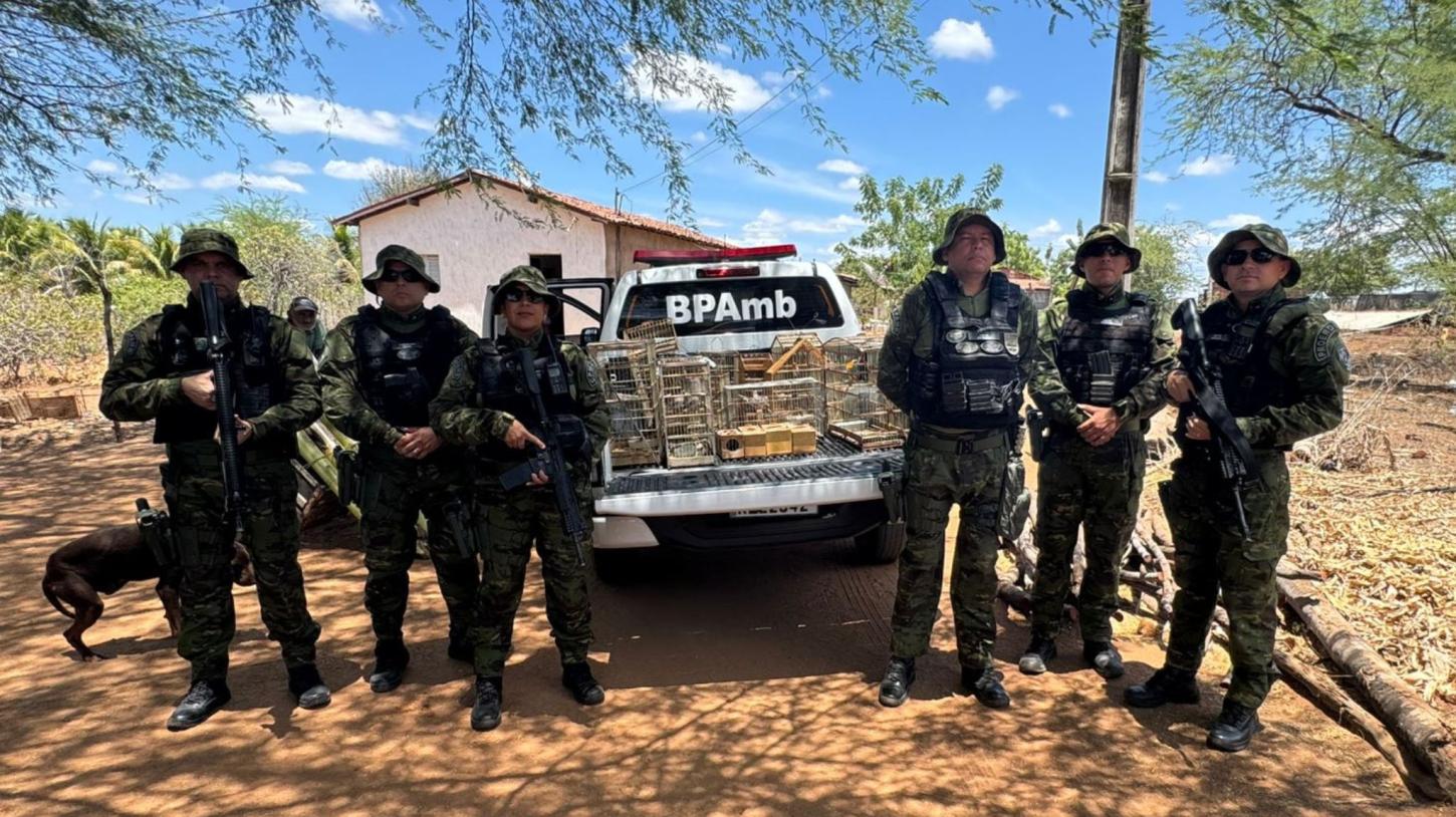 Operação da Polícia Ambiental, resgata cerca de 50 aves e um tatu-peba em Sousa, Cajazeiras e Bernardino Batista