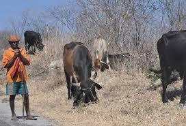 Ministério reconhece situação de emergência em municípios paraibanos