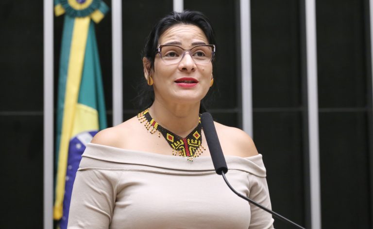Comissão da Câmara debaterá os desdobramentos da COP30 e o Pacote de Belém