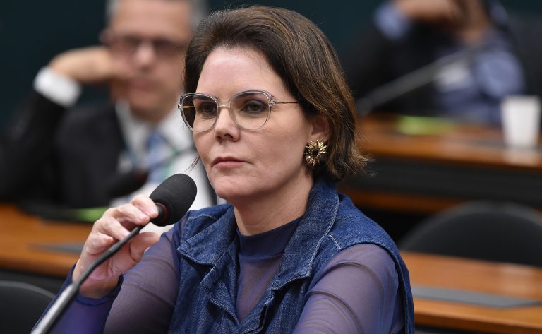 Comissão aprova participação social em plano de combate à violência contra a mulher