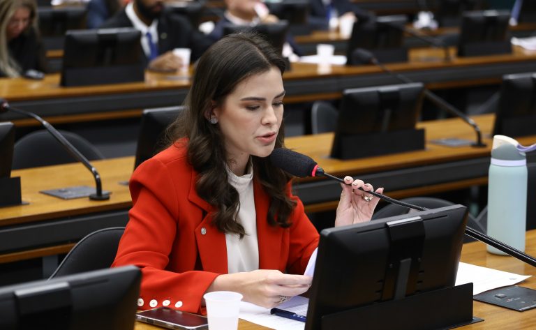 Comissão autoriza prioridade para gestantes e lactantes em situações epidêmicas