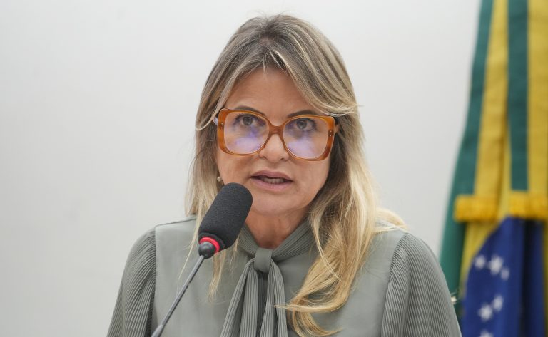 Câmara dos Deputados debate trabalho infantil digital