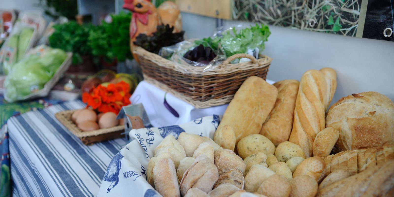 Setor de alimentos e bebidas registra avanço de 8% em 2025, informa Abia