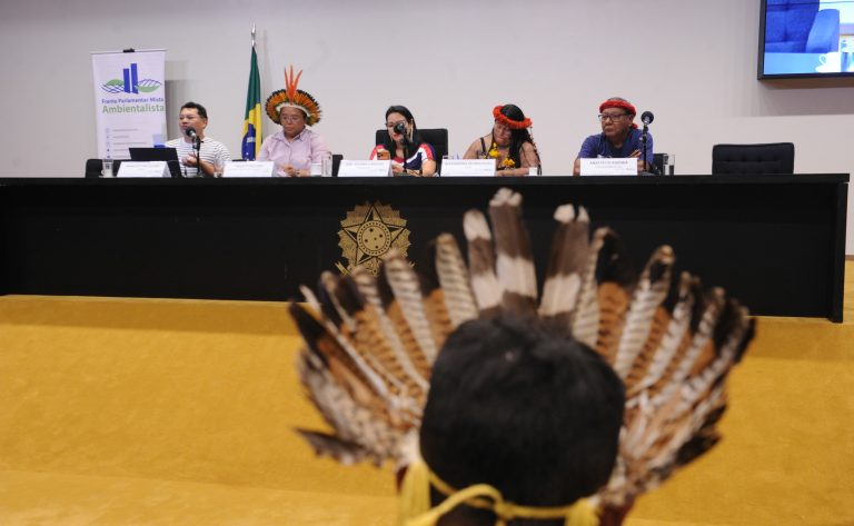 Lideranças indígenas e parlamentares defendem mais voz e proteção territorial em seminário na Câmara