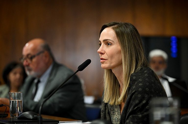 Conselho de Comunicação Social debate impacto da IA e desinformação nas eleições