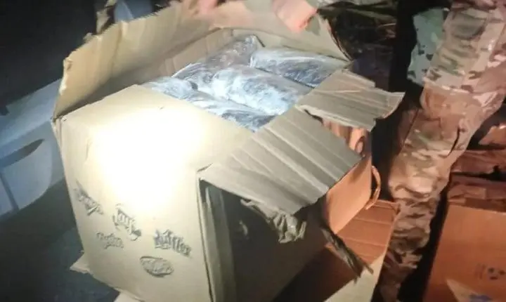 Apreensão de maconha: PRF intercepta veículo com 26,3 kg de droga na BR-101 em João Pessoa