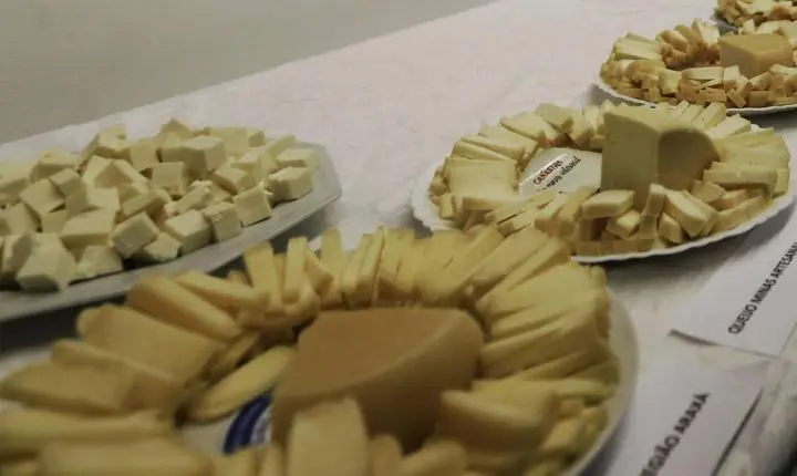 Brasil inicia importação de queijo com tarifas reduzidas após acordo Mercosul–União Europeia