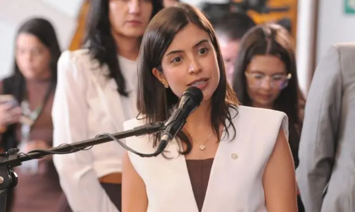 Comissão chancela Anna Nery como patrona da enfermagem no Brasil