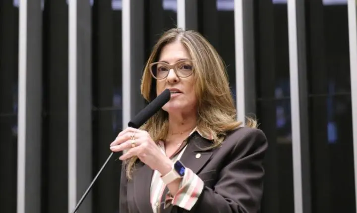 Comissão autoriza prorrogação de prazo para gestantes em programas de fidelidade