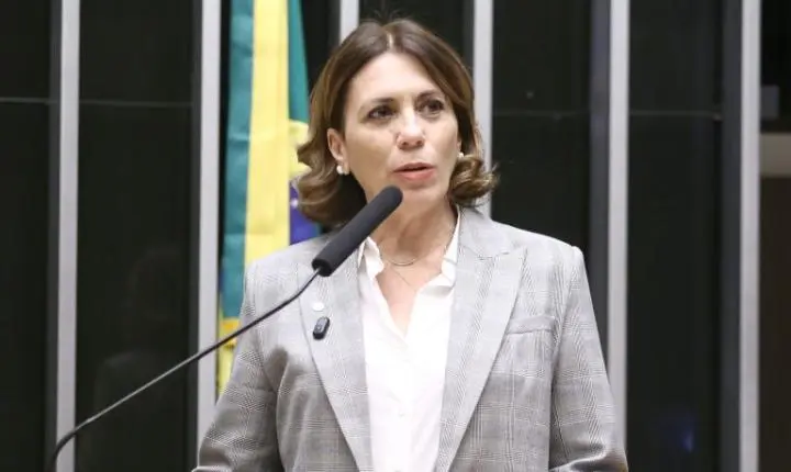 Comissão da Câmara aprova internet obrigatória em voos com mensagens gratuitas