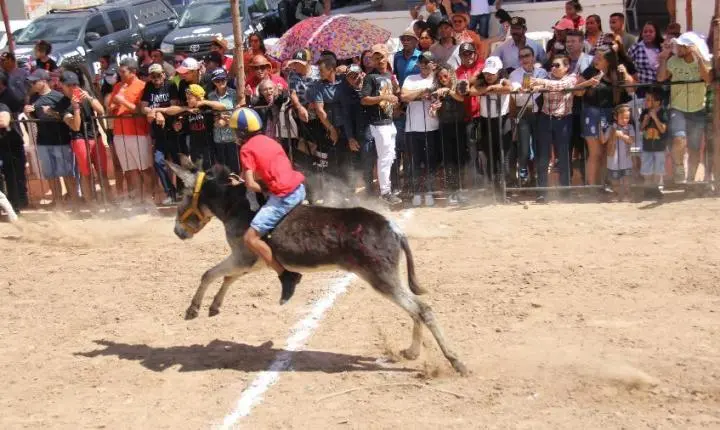 Corrida de Jegues de Bom Jesus é reconhecida como Patrimônio Cultural Imaterial da Paraíba
