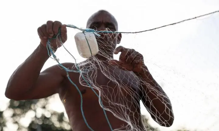 Câmara dos deputados vota mudanças em MP do seguro-defeso