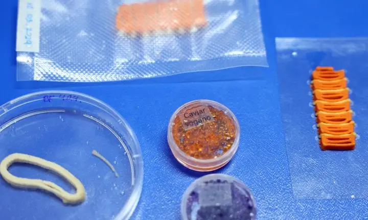Embrapa desenvolve alimentos à base vegetal impressos em 3D, mimetizando salmão, caviar e lula