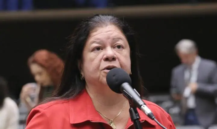 Nova lei regulamenta a guarda compartilhada de animais de estimação