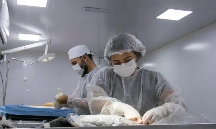 Prefeitura de Triunfo realiza ação de castração animal e supera meta inicial