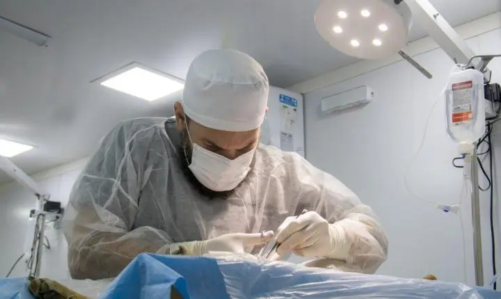 Prefeitura de Triunfo realiza ação de castração animal e supera meta inicial