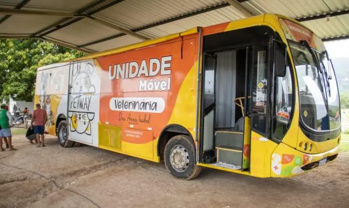 Prefeitura de Triunfo realiza ação de castração animal e supera meta inicial